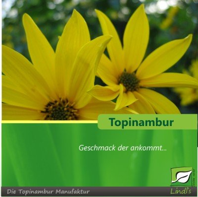 topinambur-diabetes-balance-set-das-bestehend-aus-topinambur-tabletten-feinen-streifen-und-topinambur-detailansicht